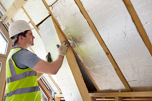 Best Wall Insulation Contractor  in Mcallen, TX